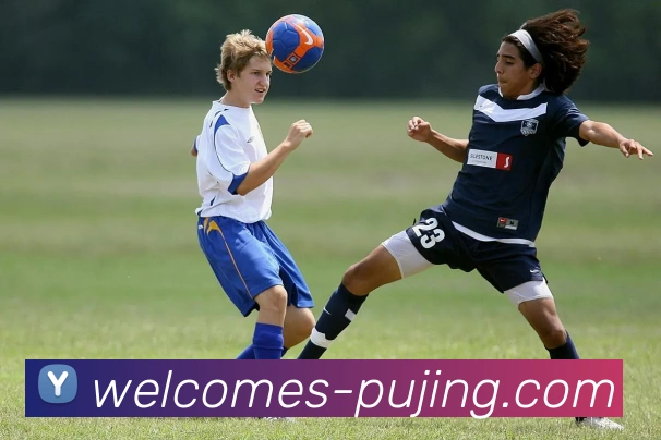 新葡京官网APP 体育赛事宣传图